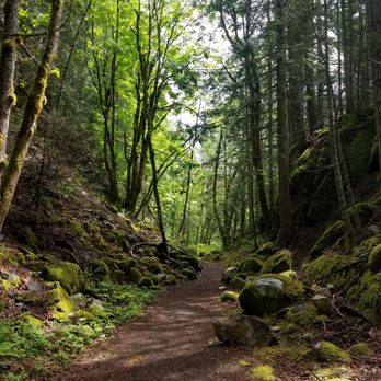 Iron Goat Trail - A trail - Hiking Near Me