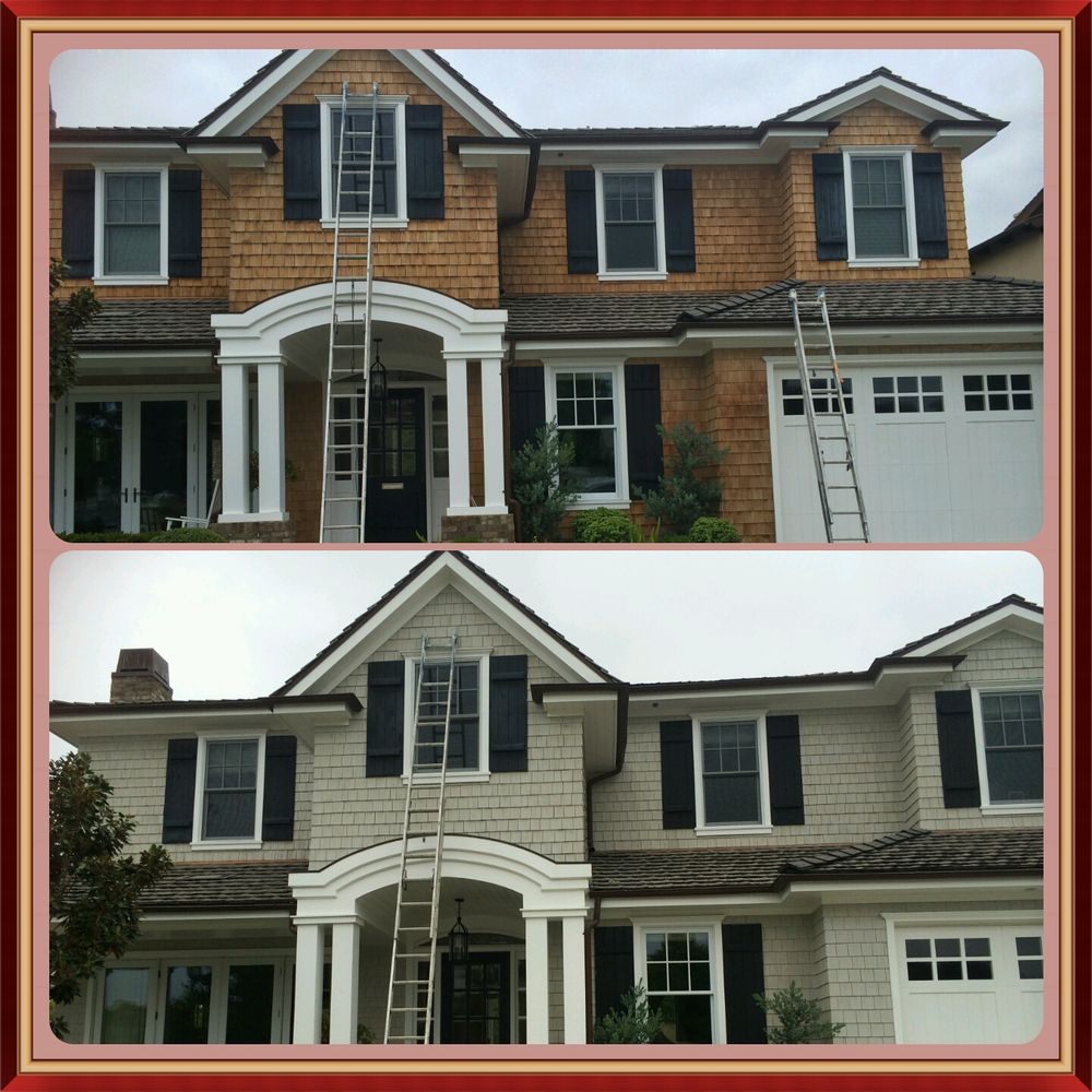 DAISY PAINTING Updated June 2024 Costa Mesa, California Painters