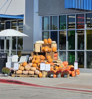 Whole Foods Market by null