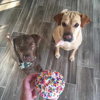 K-9 Kakes Pet Bakery - Pet Stores Near Me - Sicklerville, New Jersey