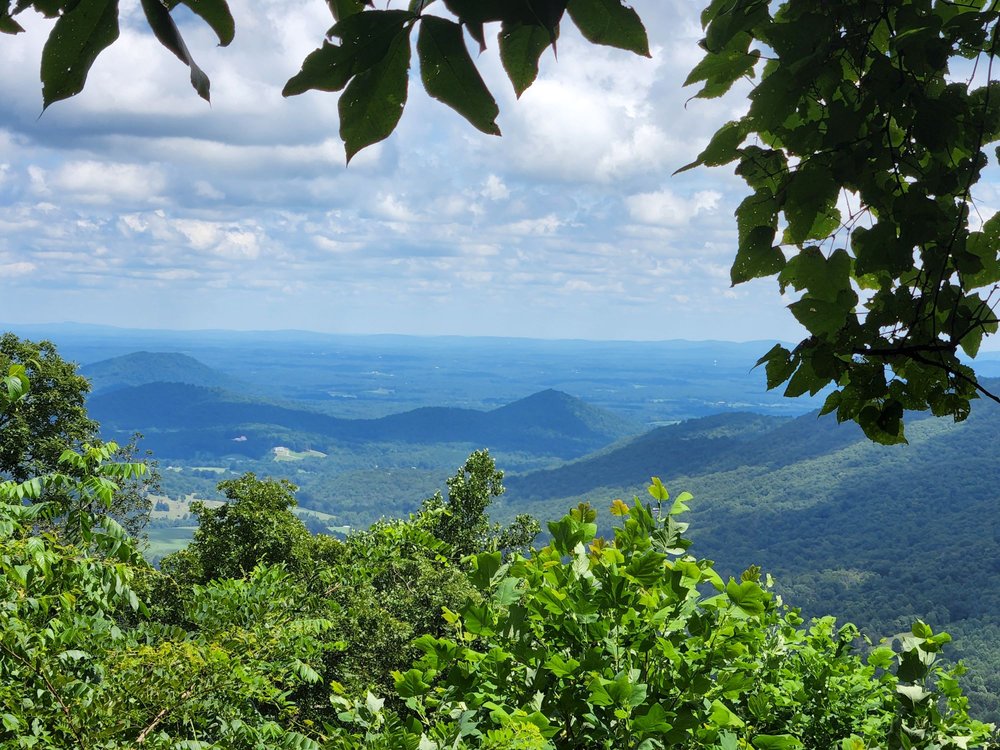 PATRICIA ANN BYROM FOREST PRESERVE PARK Updated October 2024 18