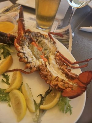 Klein's Fish Market by null