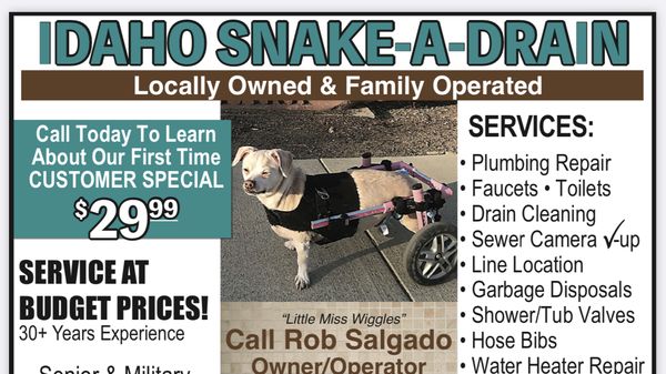 Idaho Snake-a-Drain Logo