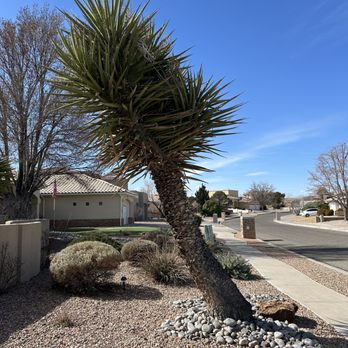 TreePros - Tree Services Near Me - Albuquerque, New Mexico