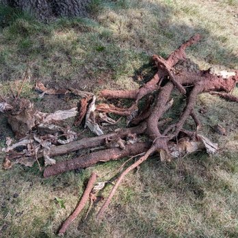 Frontier Asphalt Services - Removed roots - Masonry/Concrete Near Me Frontier Asphalt Services - Removed roots - Masonry/Concrete Near Me