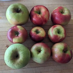This'll fit in the smaller bag, plus one. (I got hungry.) This'll fit in the smaller bag, plus one. (I got hungry.)