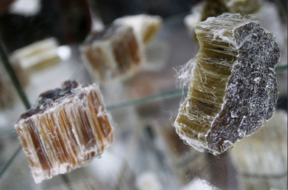 Texas Environmental Inspections - mold inspector in Dallas, TX