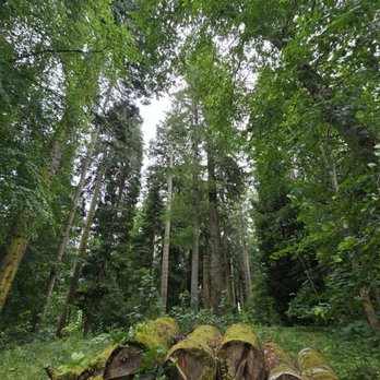 Blair Castle - Castles Near Me