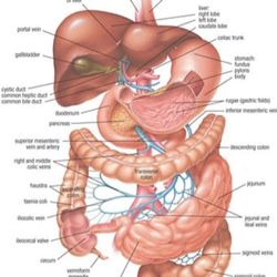 Digestive Health Partners - Gastroenterologist near me