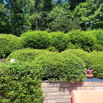 Trevol Lawn General Services - Lawn Services Near Me Trevol Lawn General Services - Lawn Services Near Me