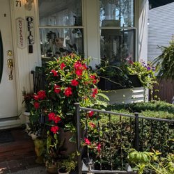 Harbour Towne Inn on the Waterfront - Gardens welcome you as you enter