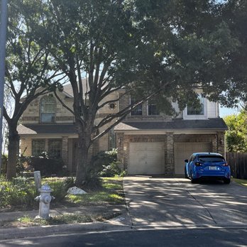 Austin Tree Surgeons - After. - Tree Services Near Me - Austin, Texas