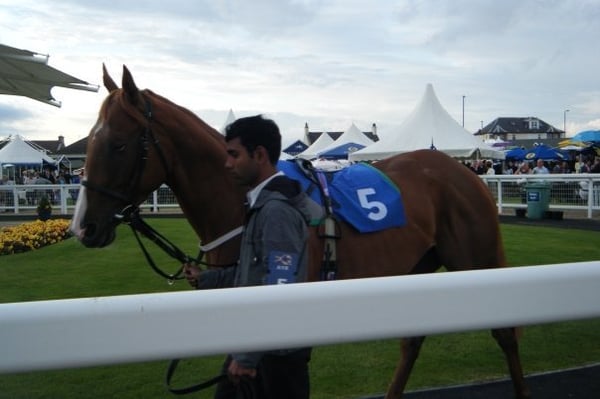 Ayr Racecourse by null