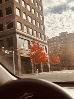 Slave Haven Underground Railroad Museum by null