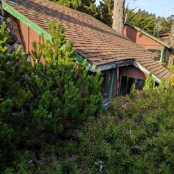 Ireland's Rustic Lodges - Gutters are falling down, with weeds growing in what gutter part remains. Overgrowth of shrubs.