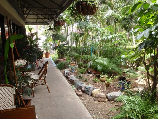 Barefoot Buddha by null