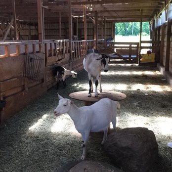 Lively Run Dairy - Cheese Shops Near Me - Interlaken, New York
