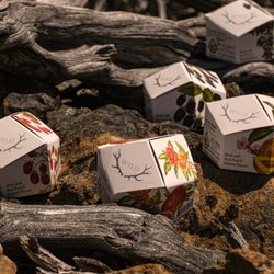 Nice Guys Delivery - Wyld Gummies