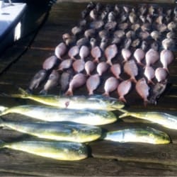 Little Clam Sportfishing