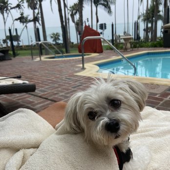 Santa Barbara Inn - Hotels Near Me - Santa Barbara, California Santa Barbara Inn - Hotels Near Me - Santa Barbara, California