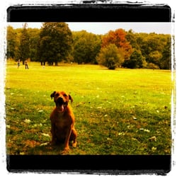 Wanskuck Park - A misty fall day at one of our favorite spots.