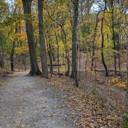 Flat Path behind the Frick Museum.