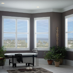 D. Schultz Interiors