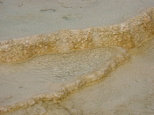 Mammoth Hot Springs by null