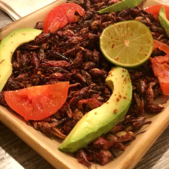 El Tejate Restaurant - Fried grasshoppers! Delicious!! - Mexican Near Me - Carlsbad, California