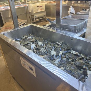 H Mart - Orlando - Blue crab bin - International Grocery Near Me - Pine Hills, Florida H Mart - Orlando - Blue crab bin - International Grocery Near Me - Pine Hills, Florida