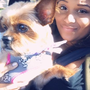 Dog Styling Boutique - Pet Groomers Near Me - Glendora, California