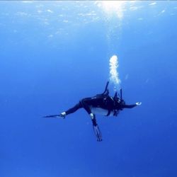 Scuba Frisco