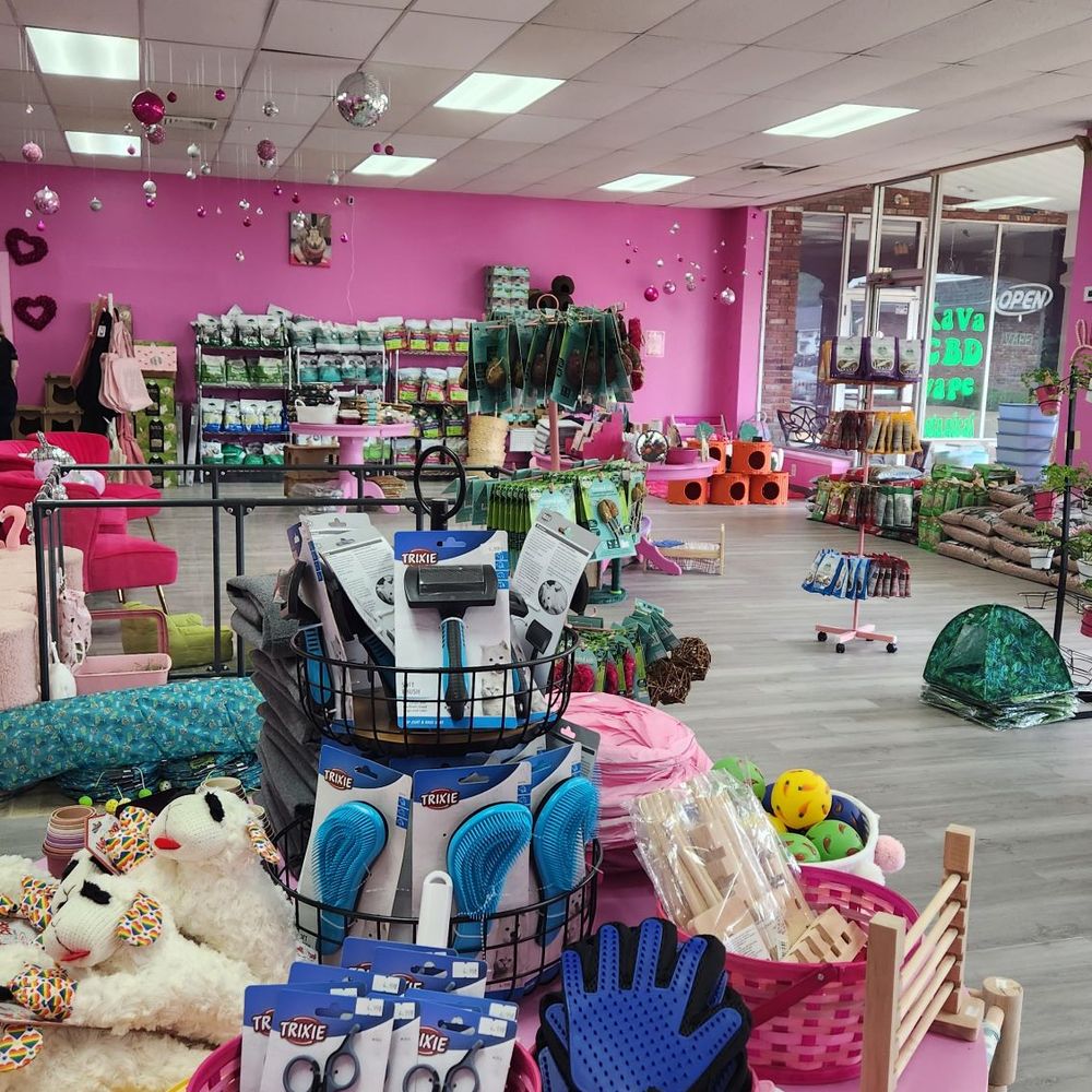 Dolly’s Dream Home - Pet Stores Near Me - Saint Charles, Missouri Dolly’s Dream Home - Pet Stores Near Me - Saint Charles, Missouri