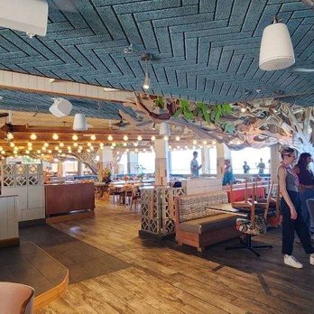 Monkeypod Kitchen - The new spot - Tacos Near Me - Honolulu, Hawaii Monkeypod Kitchen - The new spot - Tacos Near Me - Honolulu, Hawaii