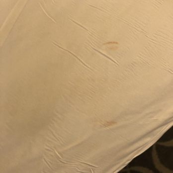 Marriott St. Louis Airport - Makeup stain on bed...or hope it's makeup - Hotels Near Me - St. Louis, Missouri