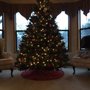 Photo of Lawrence Christmas Tree Farm