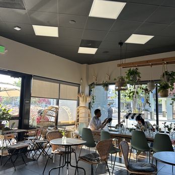 Lele Cake - Interior - Coffee & Tea Near Me - Los Gatos, California
