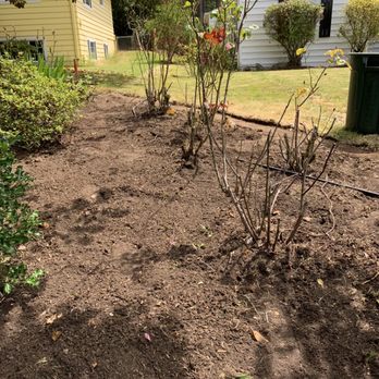 Leaf Landscape - Bed cleaning after - Landscaping Near Me Leaf Landscape - Bed cleaning after - Landscaping Near Me
