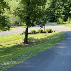 Flatwoods KOA - Quick shot of steep narrow roads