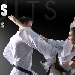 Z Ultimate Self Defense Studios - Martial Arts Helps You Realize Your Personal Best.