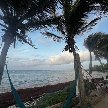 La Buena Vida - Hammock - Bars Near Me - Akumal, ROO La Buena Vida - Hammock - Bars Near Me - Akumal, ROO