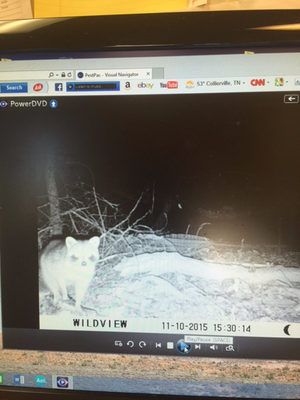 GERMANTOWN PEST CONTROL & TERMITE - Updated January 2025 - 310 Moore Ln