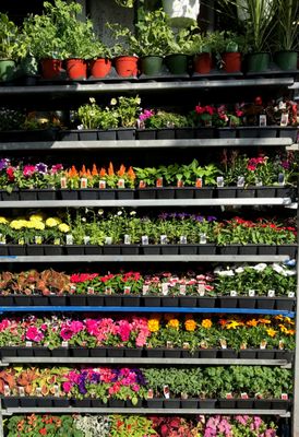 Saifee Hardware & Garden by null