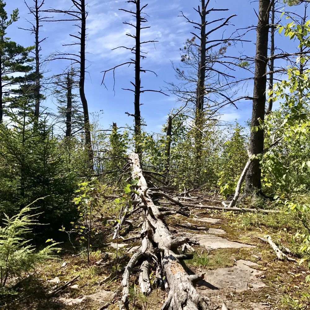 Sleeping Beauty Mountain - Hiking Near Me - Fort Ann, New York