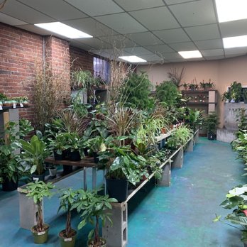 Redbud Garden Center - Nurseries & Gardening Near Me - Aurora, Colorado Redbud Garden Center - Nurseries & Gardening Near Me - Aurora, Colorado