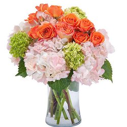 FLOWER POWER