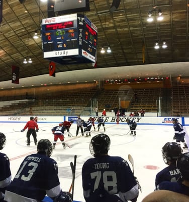 Ingalls Ice Rink by null