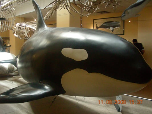 Biarritz Aquarium by null