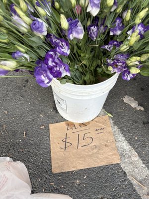Claremont Farmers & Artisans Market by null