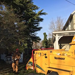 Jason Pilla Tree Specialist